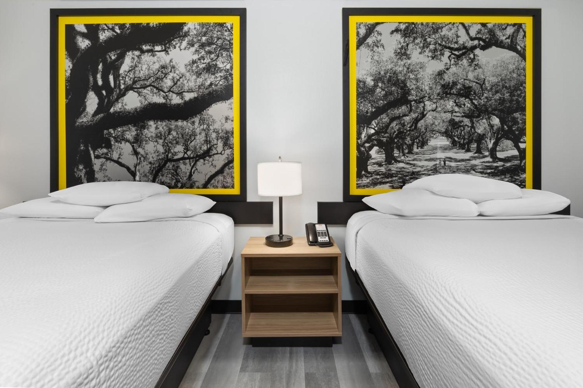 فندق Super 8 By Wyndham Alexandria La المظهر الخارجي الصورة